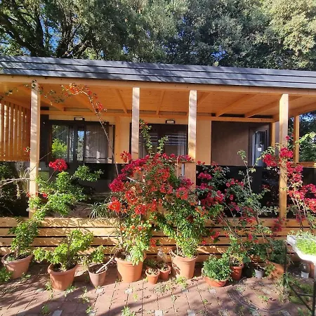 Sweet House Apartment